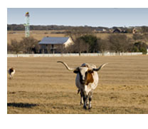 Pasture with rig