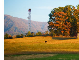 Fall trees with rig