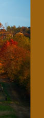 Fall trees with rig